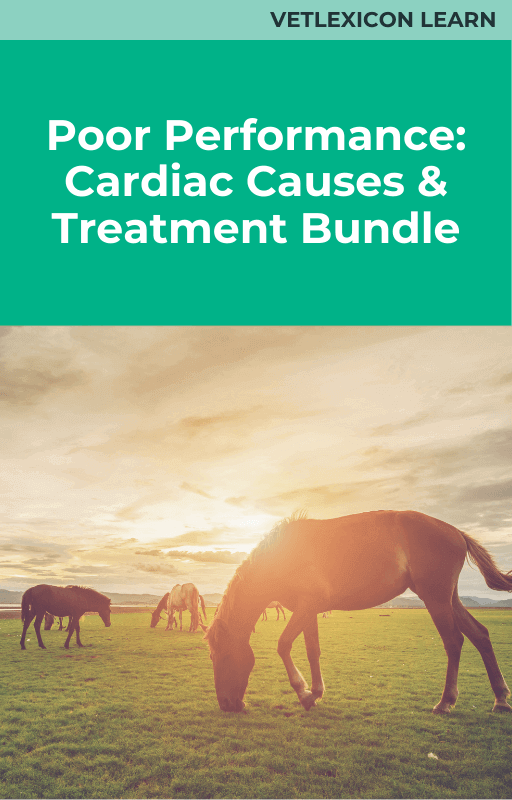 Poor Performance: Cardiac Causes and Treatment Bundle