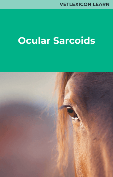 Ocular Sarcoids