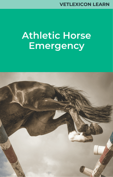Athletic Horse Emergency