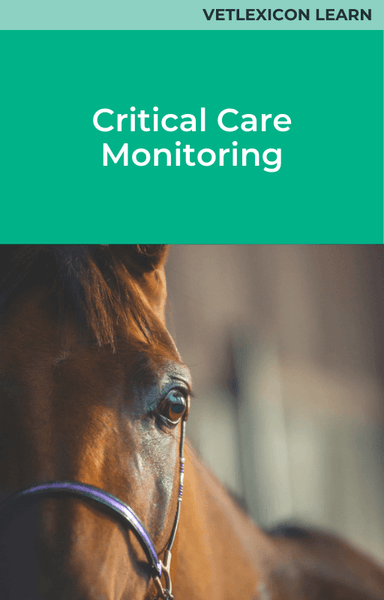 Critical Care Monitoring
