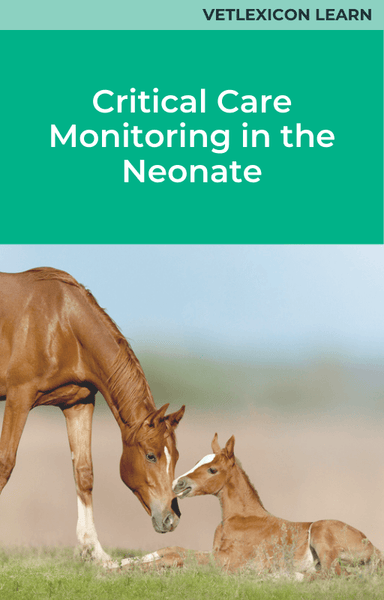 Critical Care Monitoring in the Neonate