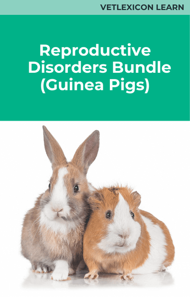 Reproductive Disorders Bundle (Guinea Pigs)