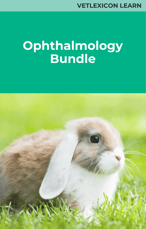 Ophthalmology Bundle (Rabbits)