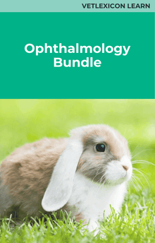 Rabbit Ophthalmology Course Bundle