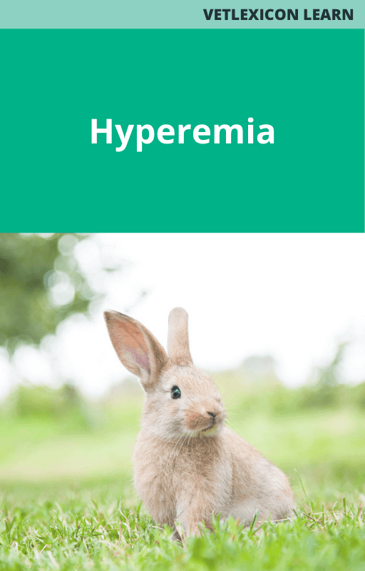 Hyperemia