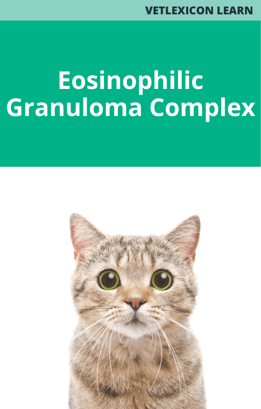 Eosinophilic Granuloma Complex 