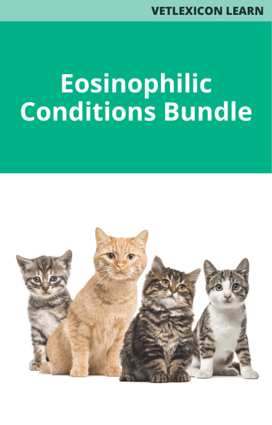 Eosinophilic Conditions Bundle