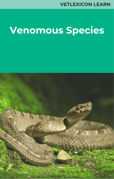 Venomous Species