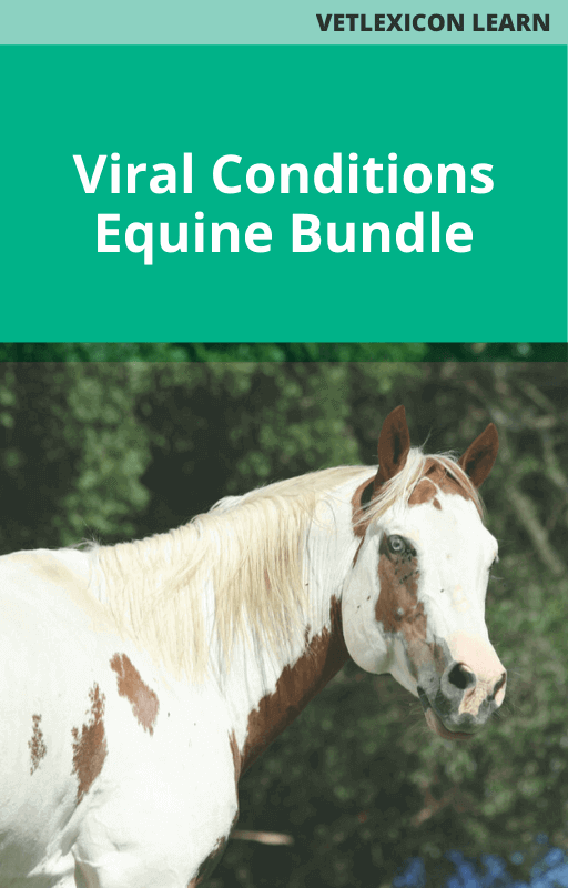 Equine Viral Conditions Bundle