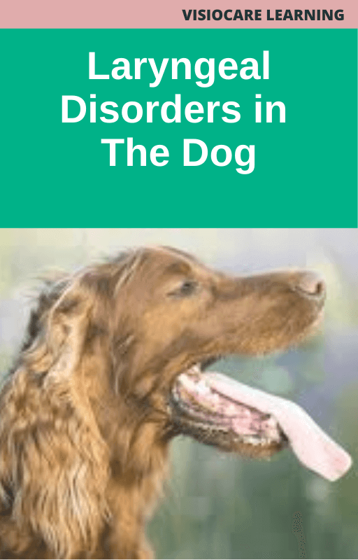 Laryngeal Disorders in the Dog
